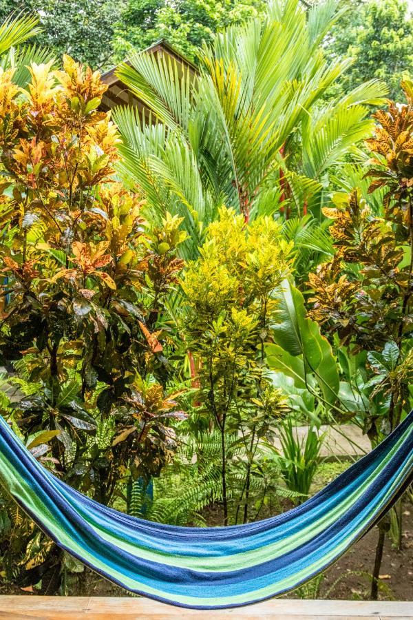 Relax Natural Village Adults Only Puerto Viejo de Talamanca ภายนอก รูปภาพ