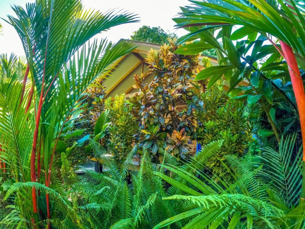 Relax Natural Village Adults Only Puerto Viejo de Talamanca ภายนอก รูปภาพ