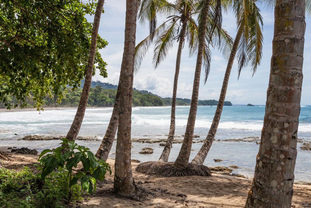 Relax Natural Village Adults Only Puerto Viejo de Talamanca ภายนอก รูปภาพ