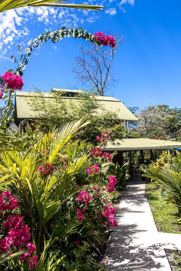 Relax Natural Village Adults Only Puerto Viejo de Talamanca ภายนอก รูปภาพ